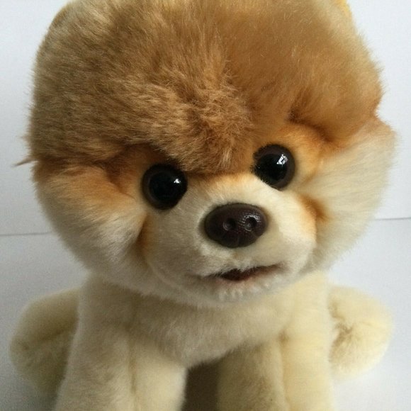 Gund Boo World's Cutest Dog 9-In Plush Pomeranian - Picture 2 of 7